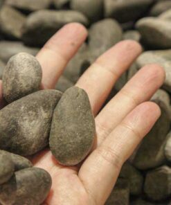 River stone Medium 6 River Pebble Medium