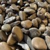 River Pebble Medium