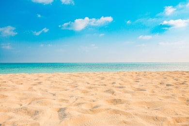 8 Types of Construction Sands 7 Beach Sand